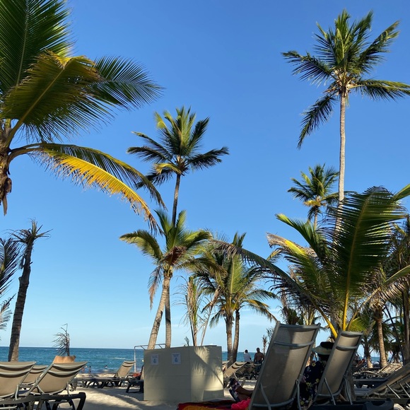 Meet your Posher, Tanya - Picture 1 of 1